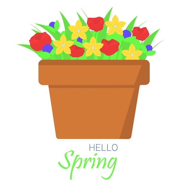 Flowers in pot. Hello spring card square banner. Vector illustration.