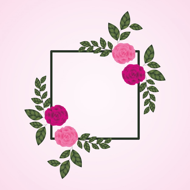 Flowers roses decoration square frame