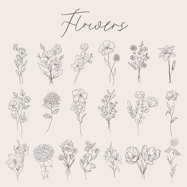 Vector flowers set collection