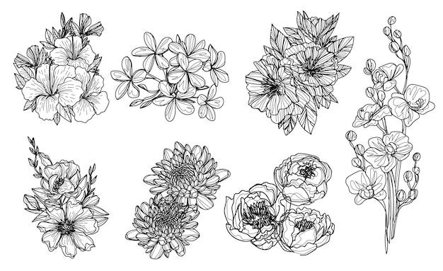 Vector flowers set hand sketch drawing  black and white