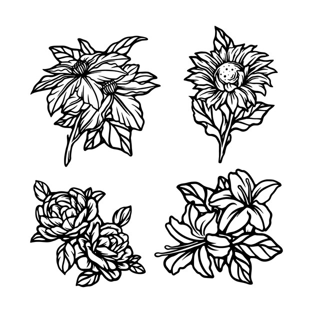 Vector flowers set line art illustration