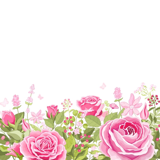 Flowers set The rose elegant card Vector illustration