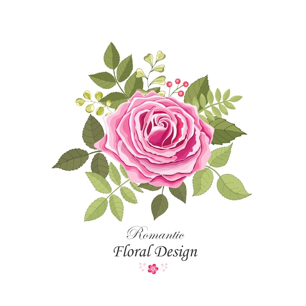 Flowers set the rose elegant card vector illustration