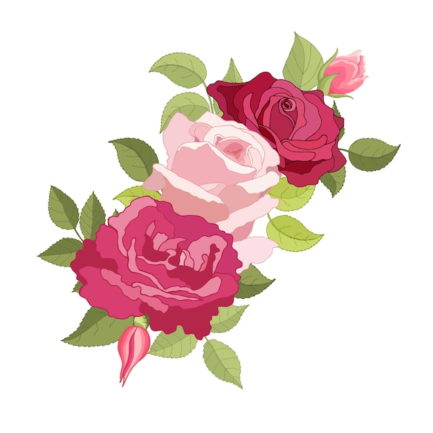 Flowers set The rose elegant card Vector illustration