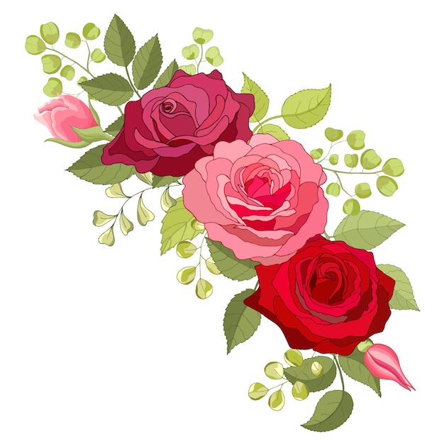 Вектор Набор цветов роза элегантная открытка векторная иллюстрация