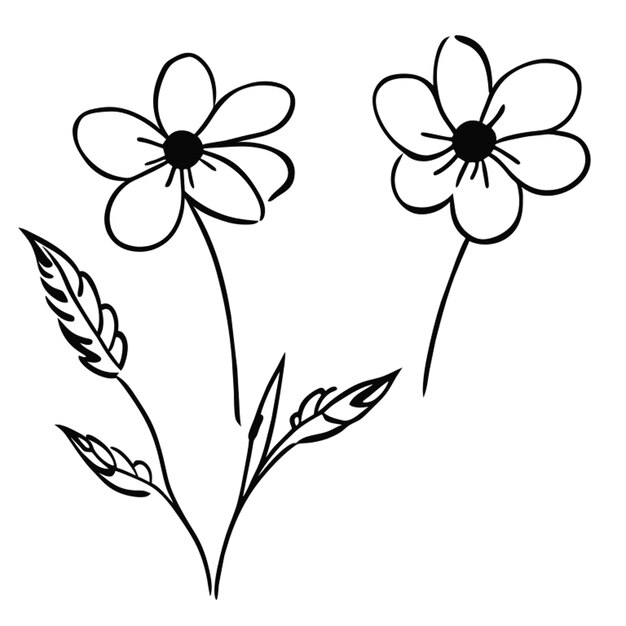 flowers vector illustration doodle line art