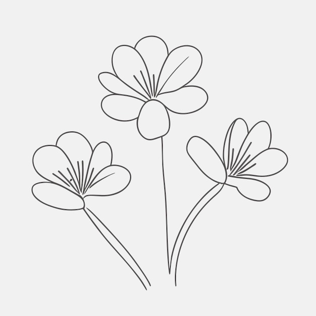 flowers vector illustration line art