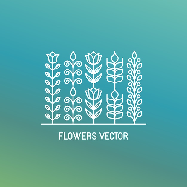 Flowers vector, lineart