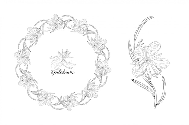 flowers wreath sketch 