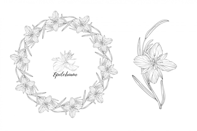 flowers wreath sketch 