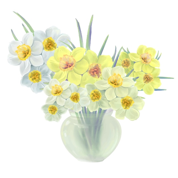 Flowers of yellow and white daffodils in a glass vase illustration isolated vector