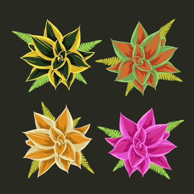 Vector flowers