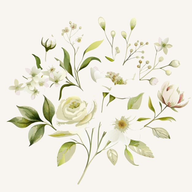 Vector flowes watercolor vector