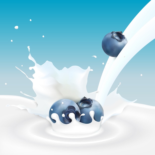 Flowing milk splash with blueberries fruits