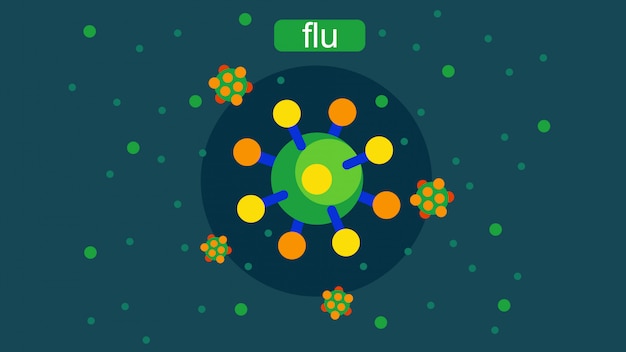 The flu virus