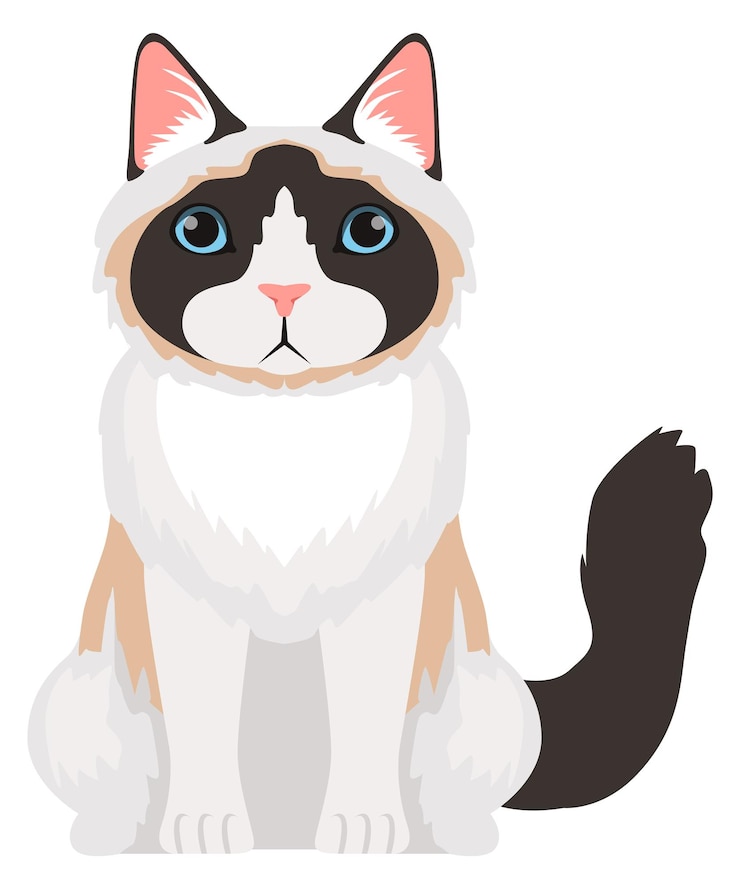 Vector 푹신한 귀여운 고양이 앉아 만화 ragdoll 품종 아이콘