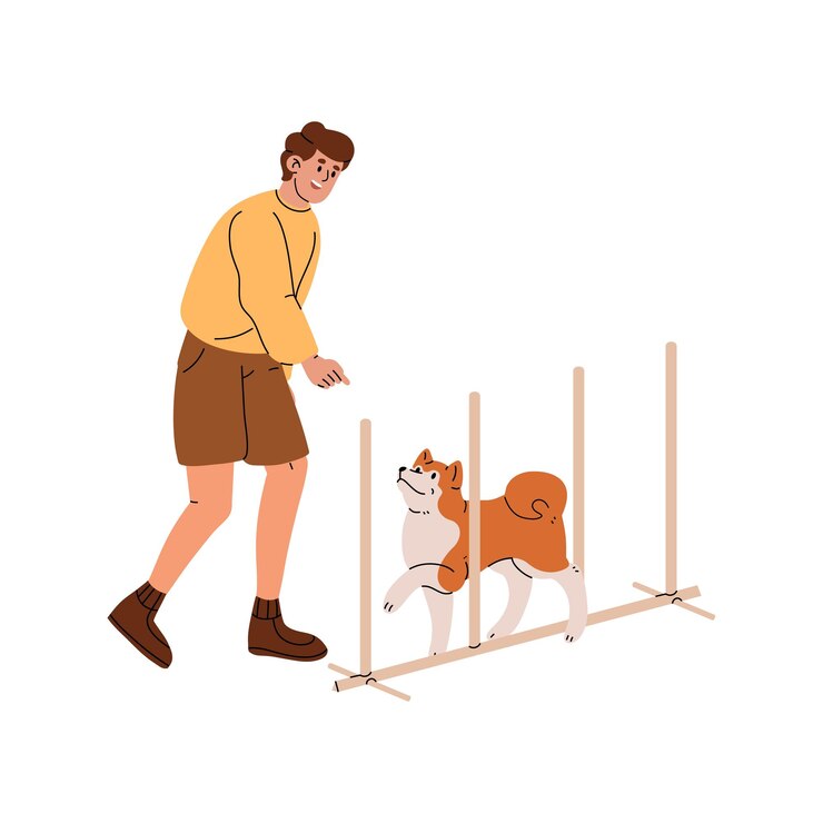 Vector 은 개 훈련은 민한 운동을합니다. 주인이 시바와 함께 놀고 있습니다. 트레이너는 강아지에게 직물 기둥을 통과하는 법을 가르니다. 슬라롬 아키타 이누는 장애물 코스를 청소합니다. 색에 평평한 고립된 터 일러스트레이션