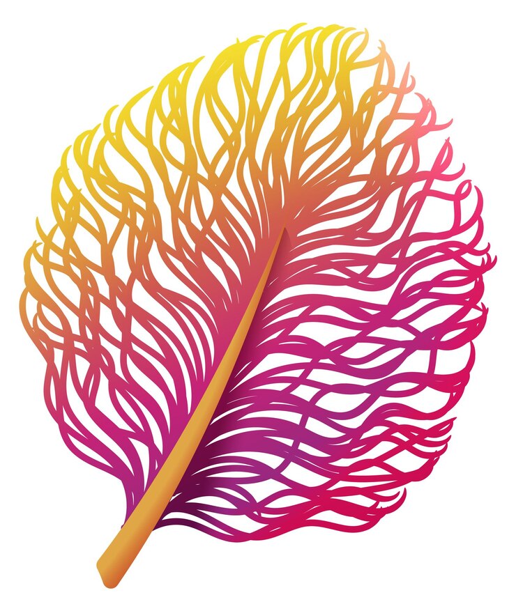 Vector fluffy feather colorful decorative bird plume symbol