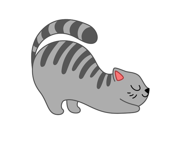 A fluffy gray cat with black stripes lies down