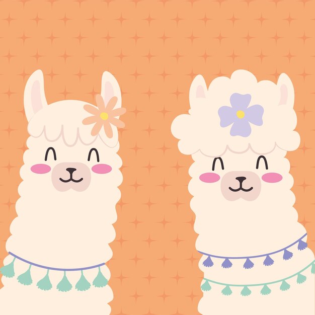 Vector fluffy llamas illustration