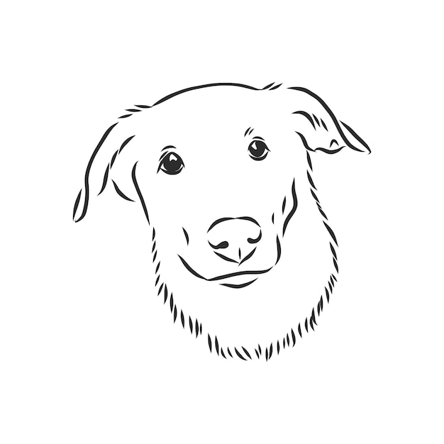 Fluffy mongrel dog vector portrait of a mongrel dog vector sketch illustration