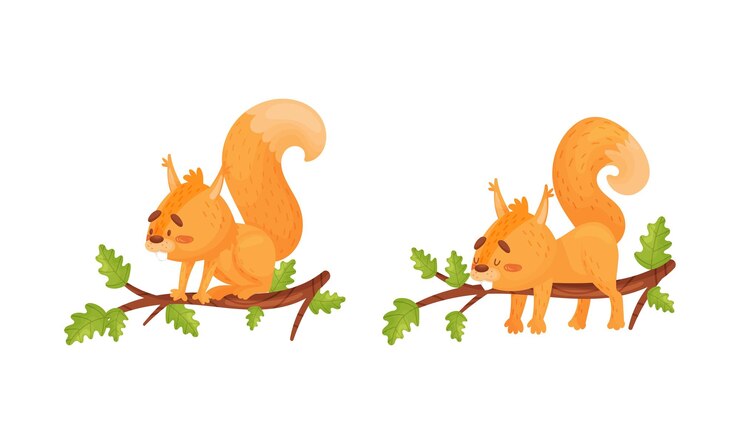 Vector fluffy squirrel character sitting and sleeping on tree branch vector set