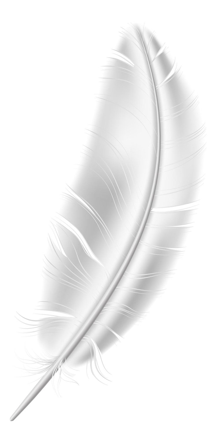Vector fluffy white feather mockup realistic bird quill isolated on white background