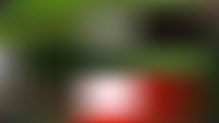 Vector 복잡한 파형으로 된 유체 경사 터 메쉬는 깊이와 시각적 음모를 추가합니다.