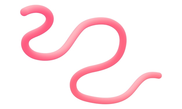 Vector fluid pink rope lines gradient modern aesthetic style