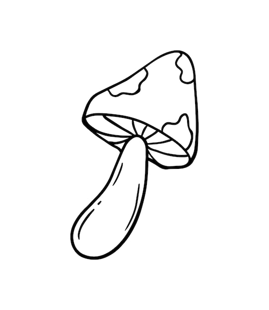 Vector fly agaric mushroom plant nature doodle linear cartoon coloring book