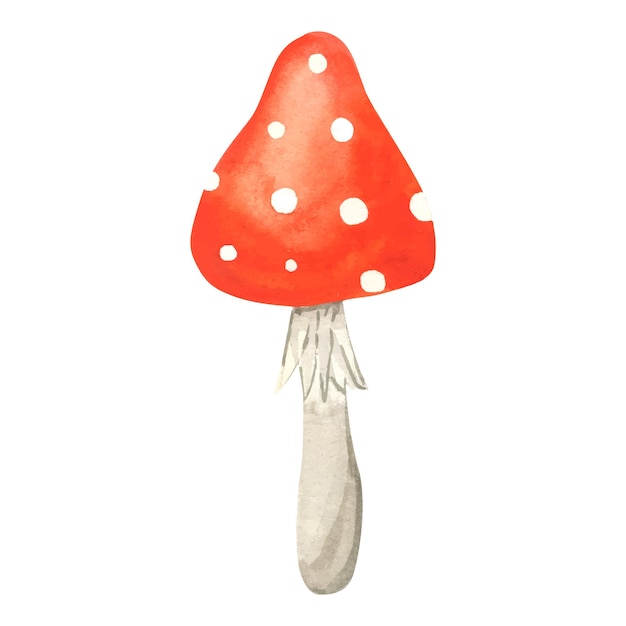 비행 Agaric 버섯 수채화 그림 손으로 그린 독 균류 Amanita Muscaria