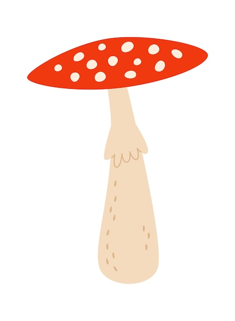 Fly agaric mushroom