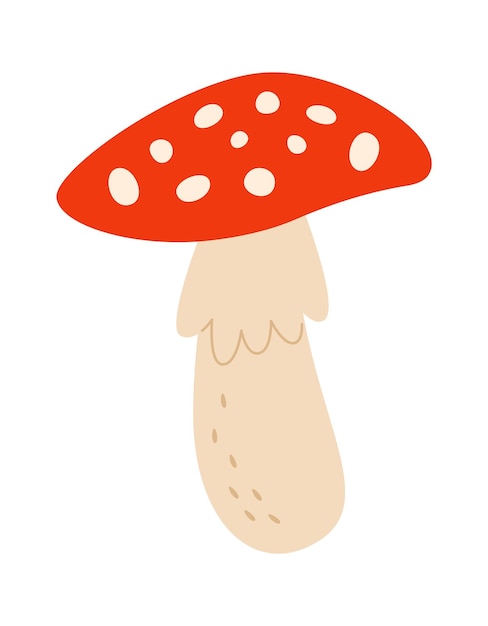 Fly Agaric Mushroom