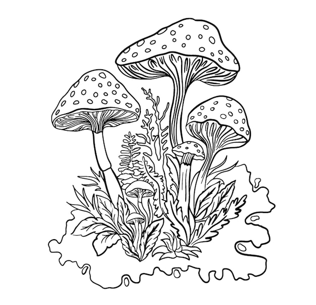 비행 agaric 버섯과 잔디 색칠 벡터