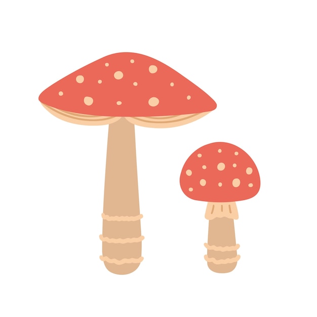 Fly agaric mushrooms Retro mushrooms Hand drawn illustration