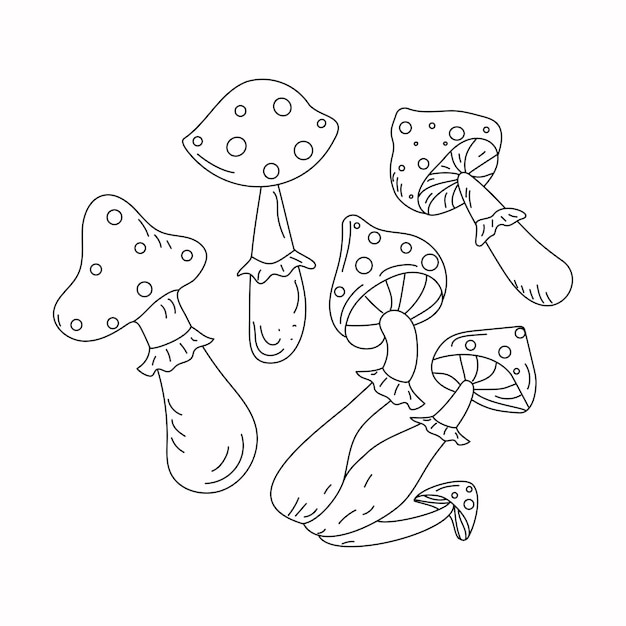 Fly agaric mushrooms