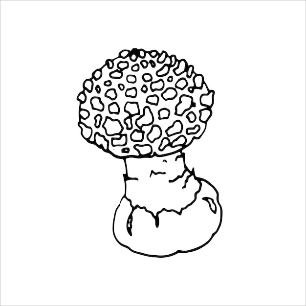 Fly Agaric Outline