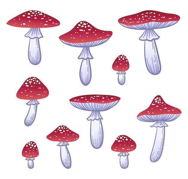 Fly agaric set. Hand drawn vector mushrooms.