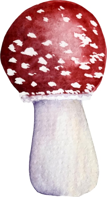 Vector fly agaric vector