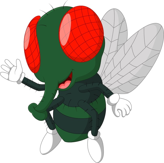 Vector fly cartoon