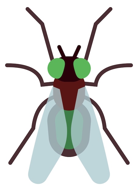 파리 색상 아이콘 해충 기호  ⁇ 색 바탕에 고립된 야생 곤충