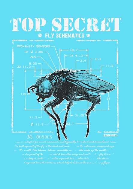 Fly portrait on measurements and text background