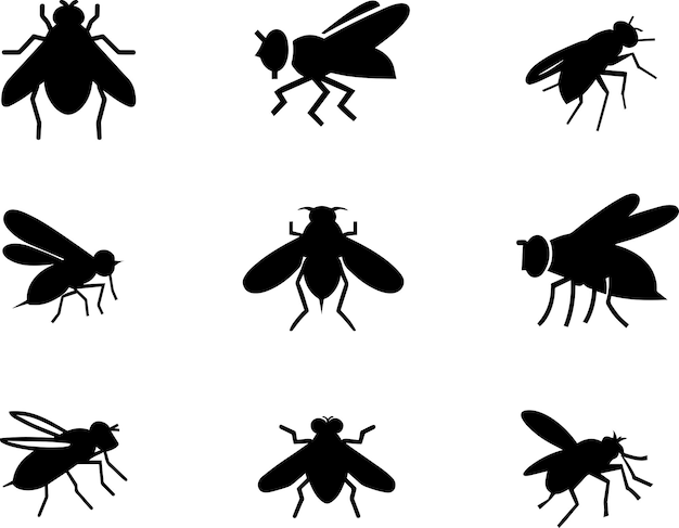 Fly vector silhouette illustration black color 2