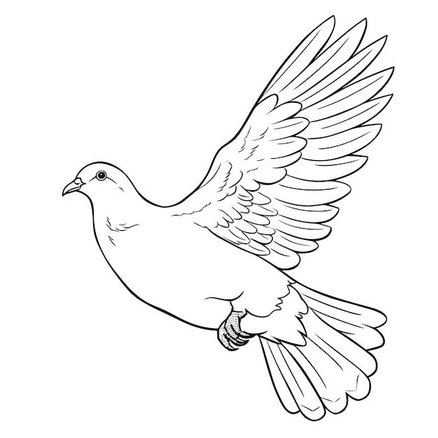 Vector fly world dove hand drawn dove outline illustration illustration of stylized birds