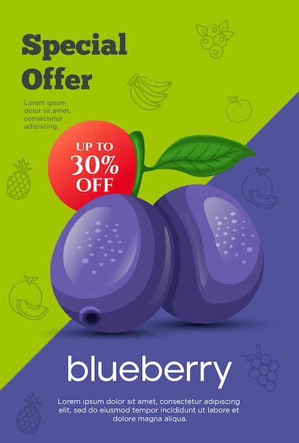 Vector flyer special offer for blueberry fruit product fruit promotion flyer