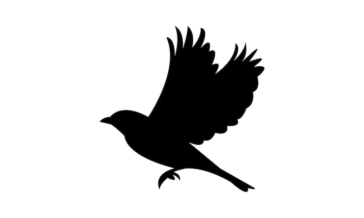 Vector flying african chaffinch bird silhouette design and vector illustration