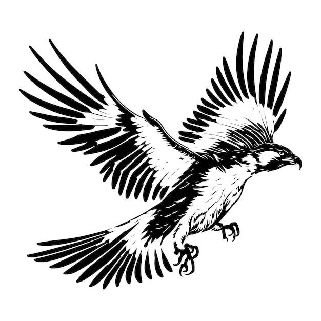 Flying Attacking Osprey Eagle Silhouette Outline Vector Eagle tattoo vector Eagle Logo Outline