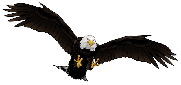 Premium Vector | Flying bald eagle illustration isolated on white background Premium Vector | Flying bald eagle illustration isolated on white background
