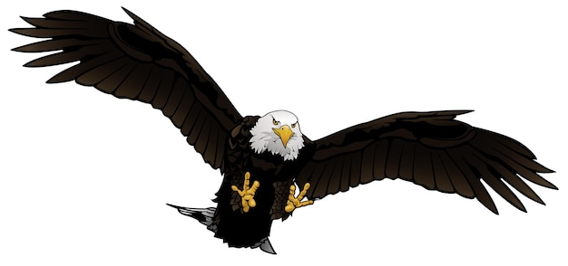 Flying Bald Eagle Illustration Isolated on White Background