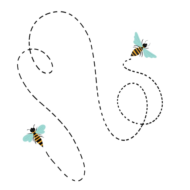 Flying bee at their path trajectory